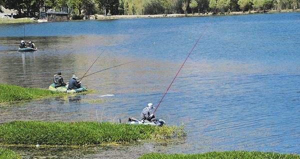 海钓100米水深钓鱼技巧（探秘深海，捕获丰收）