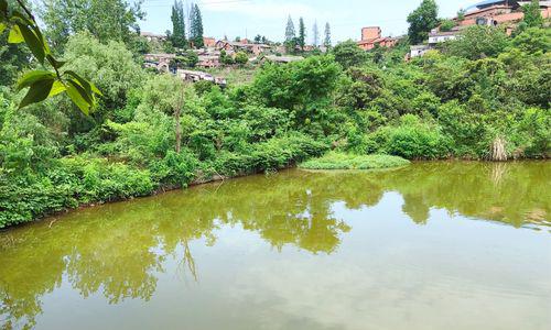 钓鱼技巧大全（细节决定成败，这些技巧让你在100亩鱼塘中捕获满满的收获）