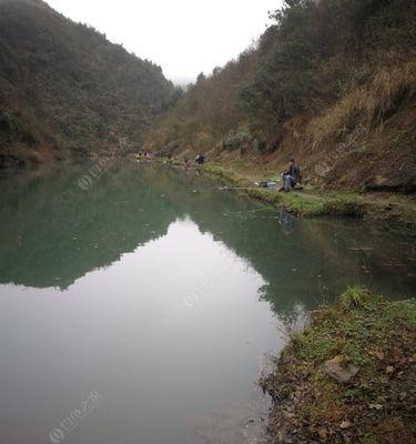 深水钓鱼技巧大揭秘（探索10米以上深水，捕获丰富渔获的秘诀）