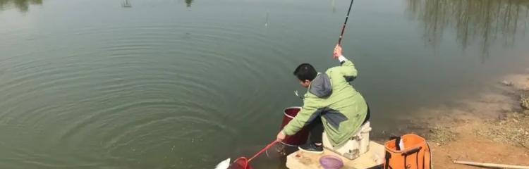 五月雨后降温钓鱼技巧与方法（应对降温的钓鱼技巧与经验，提高钓鱼效果）