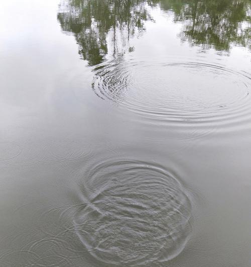 五月雨后降温钓鱼技巧（探秘适合五月雨后降温钓鱼的技巧和注意事项）