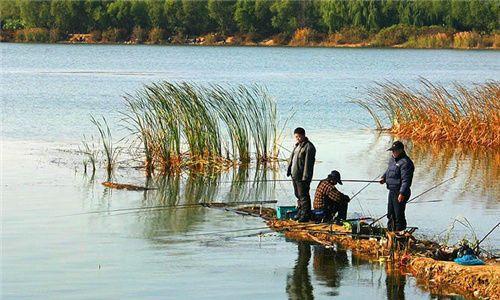 深水库钓鱼技巧（掌握20多米深水库钓鱼的窍门）