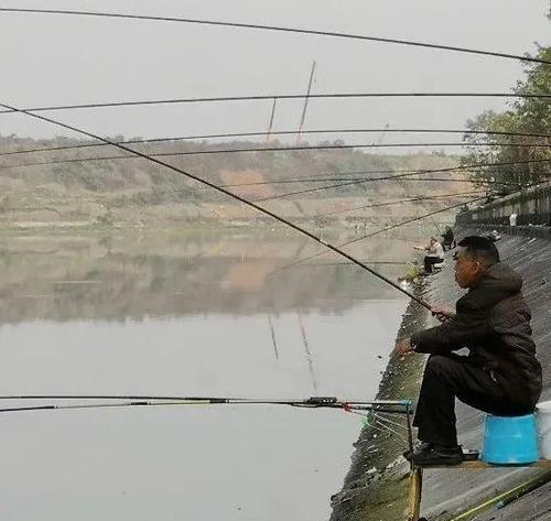 钓鱼技巧（技巧详解，让你成为大闸口钓鱼高手）