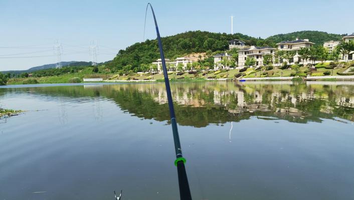 探秘浅滩钓鱼之技巧（钓鱼新手必备，30公分以下的浅滩钓鱼技巧大揭秘！）