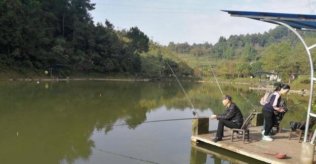 30公分鱼塘钓鱼技巧（钓鱼技巧分享及实操经验）