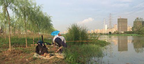 夏日炎炎，探寻34到37度下的钓鱼诀窍（暑气逼人，渔翁求利的秘诀大揭秘）