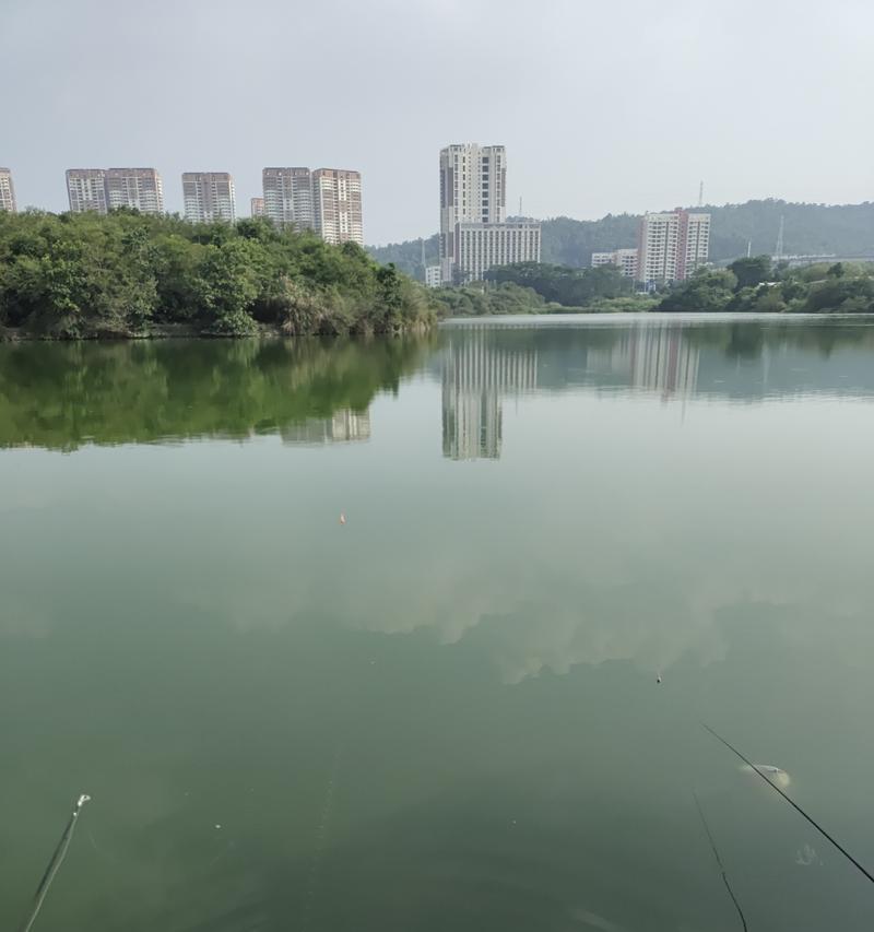 高温下的野钓技巧（35度高温下的钓鱼技巧分享，让你在炎热夏日也能享受到钓鱼的乐趣）