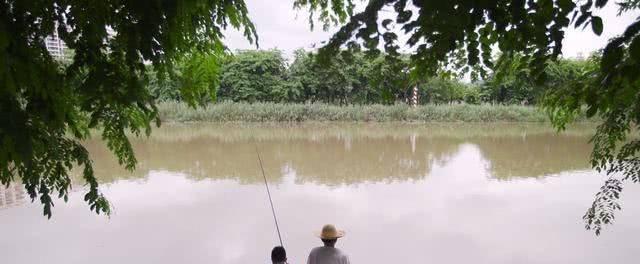 36度高温下的水库钓鱼技巧（高温环境下的有效技巧和注意事项）