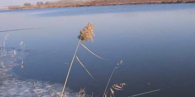 3米深水钓鱼技巧大揭秘（掌握深水钓鱼技巧，大垂钓更容易）