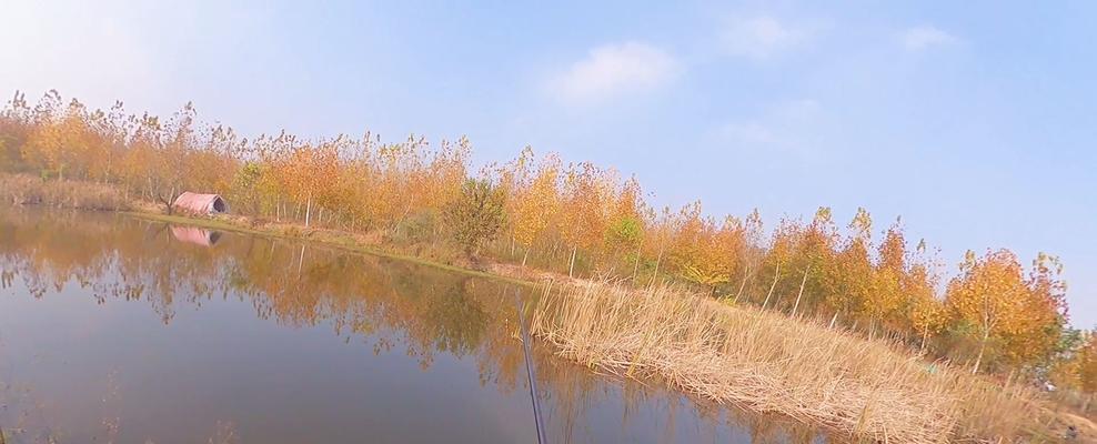 3月野钓鲫鱼饼块打窝技巧（轻松掌握钓鲫鱼的绝招）