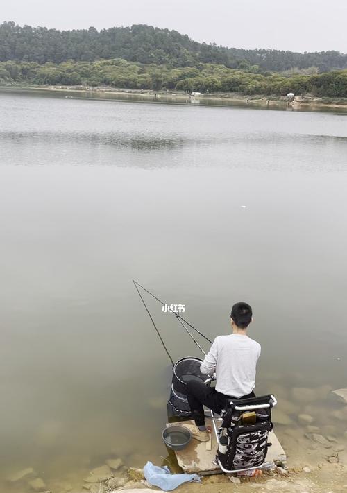 400斤钓鱼技巧大揭秘（揭秘400斤钓鱼的绝密技巧，教你如何钓到超大型鱼群）