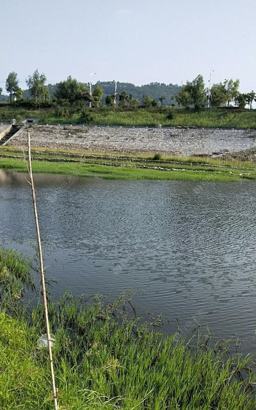 炎炎夏日，学会40度高温钓鱼技巧（享受夏日独特钓鱼体验，让渔获满载而归）