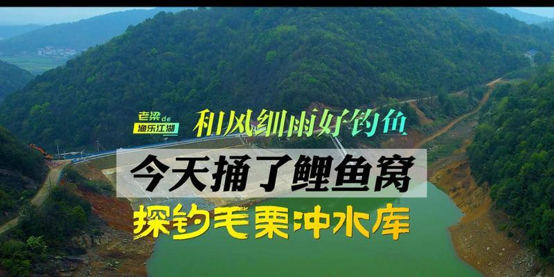 40公分浅水钓鱼技巧（掌握关键技巧轻松钓到满载的渔获）