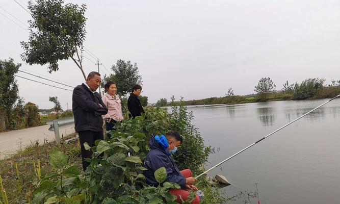 深鱼塘钓鱼技巧（掌握钓鱼技巧，轻松捕获深鱼塘的美味）