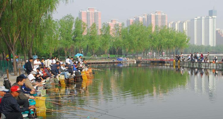 4月下旬钓鱼技巧大揭秘（挑战4月下旬钓鱼的关键点解析）