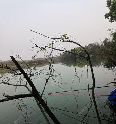 4月阴天钓鱼技巧（提高成功率的关键技巧）