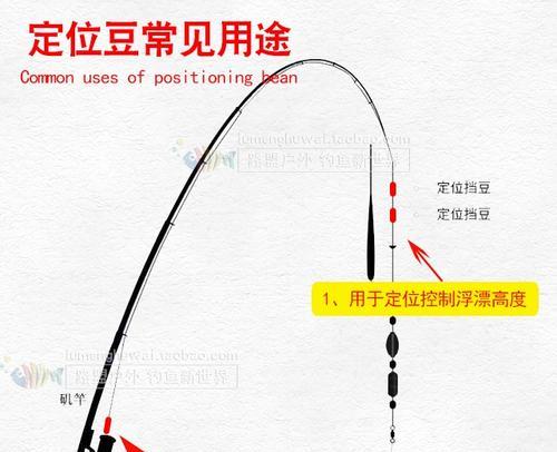 54米矶竿滑漂钓鱼技巧（提升成功率的关键技巧）