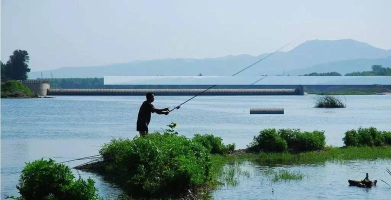 冬季浅水钓鱼技巧（50公分以下的挑战与乐趣）