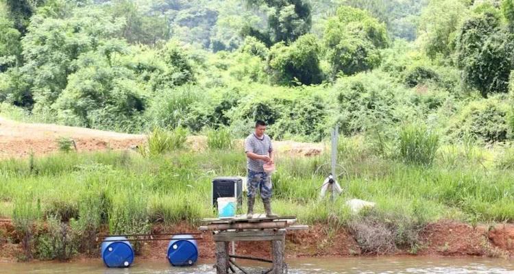 常年不喂鱼的鱼塘钓鱼技巧（无需喂食的鱼塘钓鱼秘籍，轻松获得丰收）