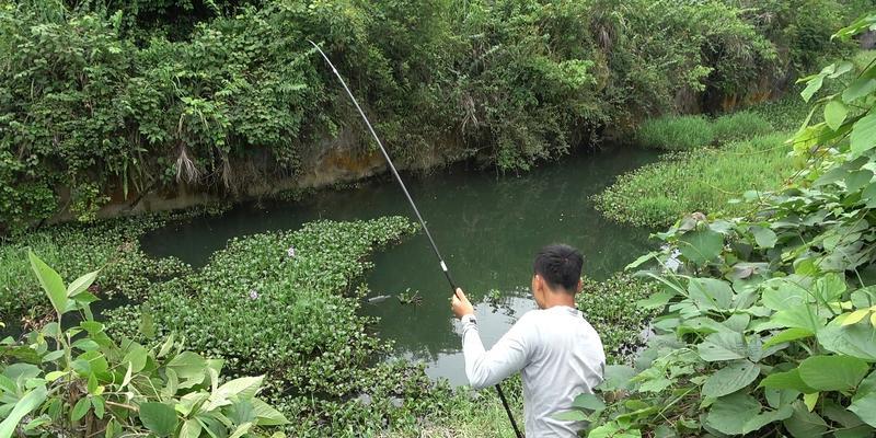 常年不喂鱼的鱼塘钓鱼技巧（无需喂食的鱼塘钓鱼秘籍，轻松获得丰收）