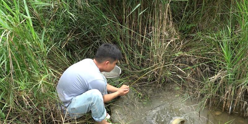 潮堤石缝间钓鱼技巧（掌握钓鱼技巧，乐享潮堤垂钓乐趣）