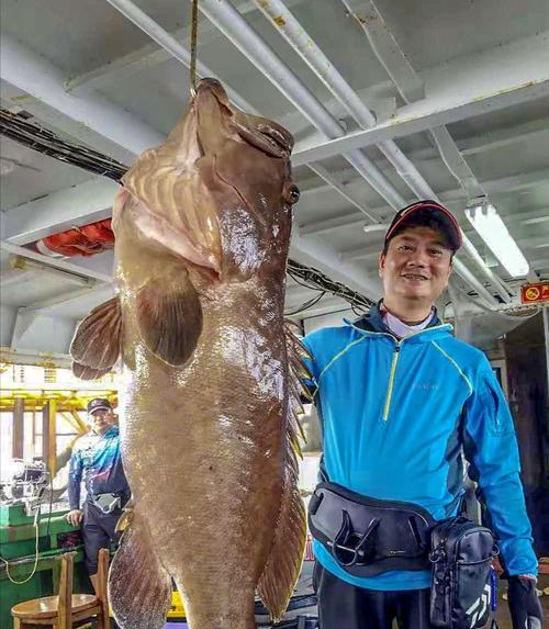 沉底钓石斑鱼的绝佳技巧与方法（掌握“沉底+诱饵+耐心”的钓石斑鱼三步曲）