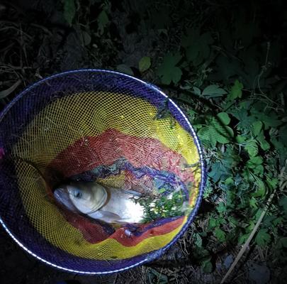 钓鱼技巧大揭秘（掌握沉钓和浮钓，轻松钓上丰收）