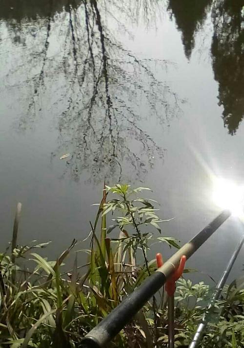 成都三岔河钓鱼技巧大揭秘（掌握钓鱼技巧，畅享成都三岔河美景）