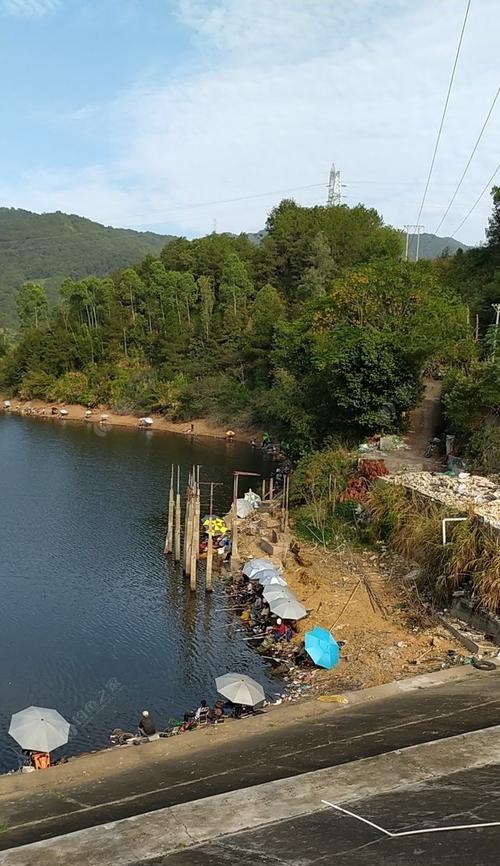 成都水库钓鱼技巧（掌握成都水库钓鱼的技巧和窍门，轻松享受钓鱼乐趣）