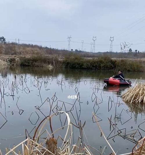 城市河里钓鱼技巧（城市河中垂钓的秘诀与技巧）