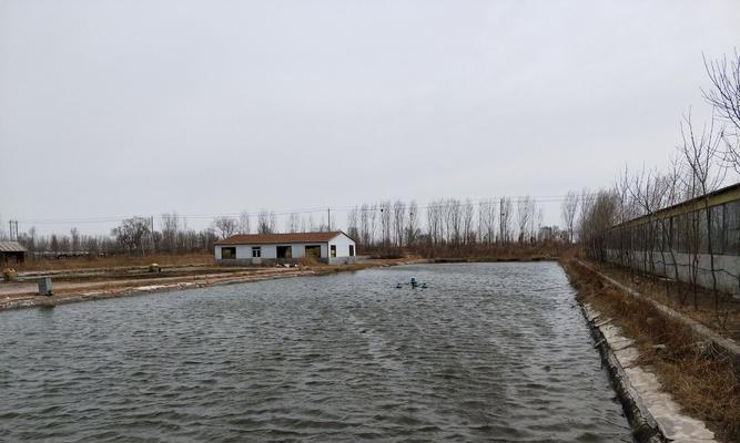 城市水泥河道垂钓技巧（探秘城市中的垂钓宝地，提升垂钓技巧）