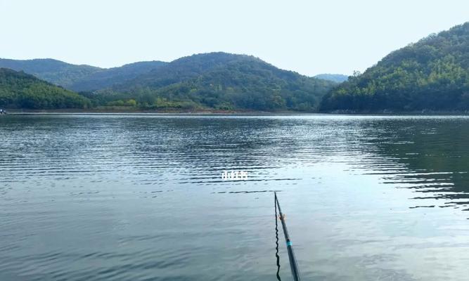 城湾水库钓鱼技巧（掌握城湾水库钓鱼技巧，提升钓鱼成功率）