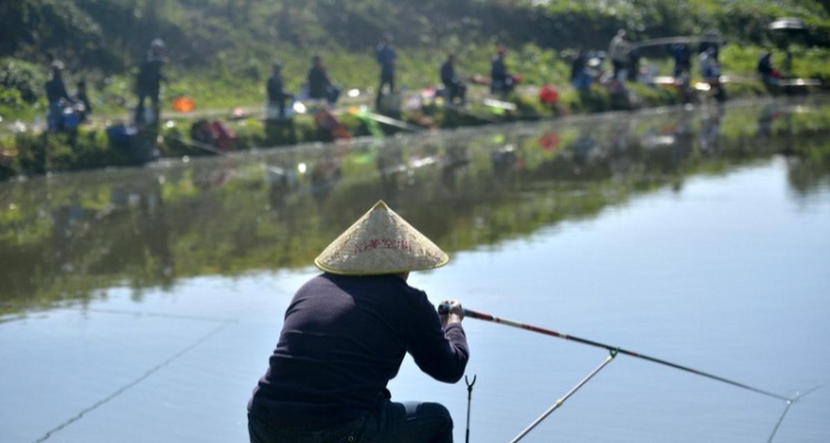 池塘钓鱼技巧与方法大揭秘（提升钓鱼技巧，享受池塘垂钓乐趣）