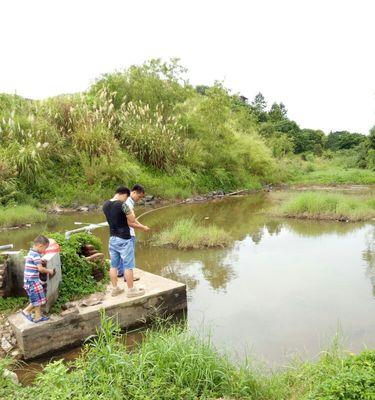 池塘钓鱼技巧——选择合适的竿长（如何根据不同池塘选择钓鱼竿的长度）