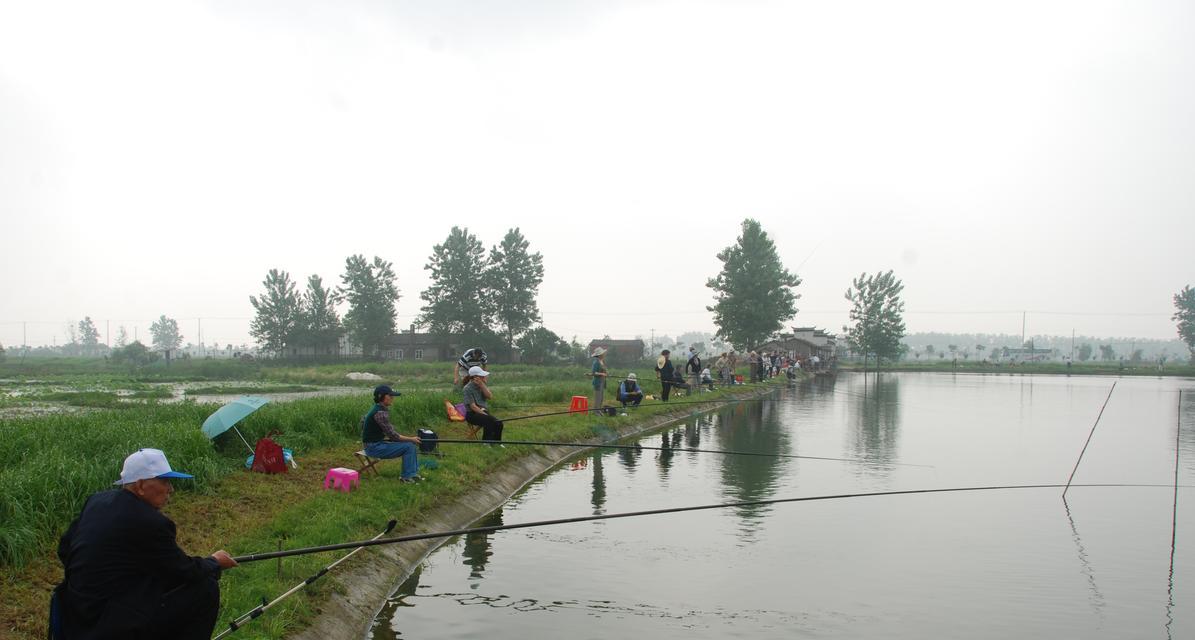 池塘钓鱼开饵技巧大揭秘（享受钓鱼乐趣，掌握开饵诀窍）