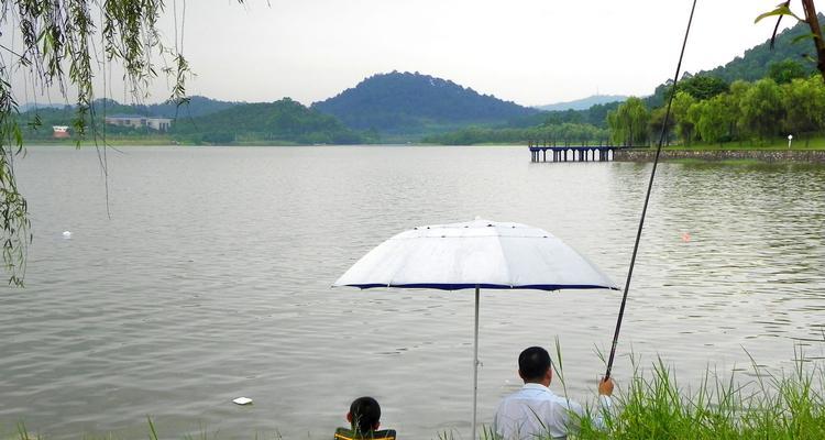 深水钓鱼技巧（池塘水深如何钓鱼，掌握这些技巧）