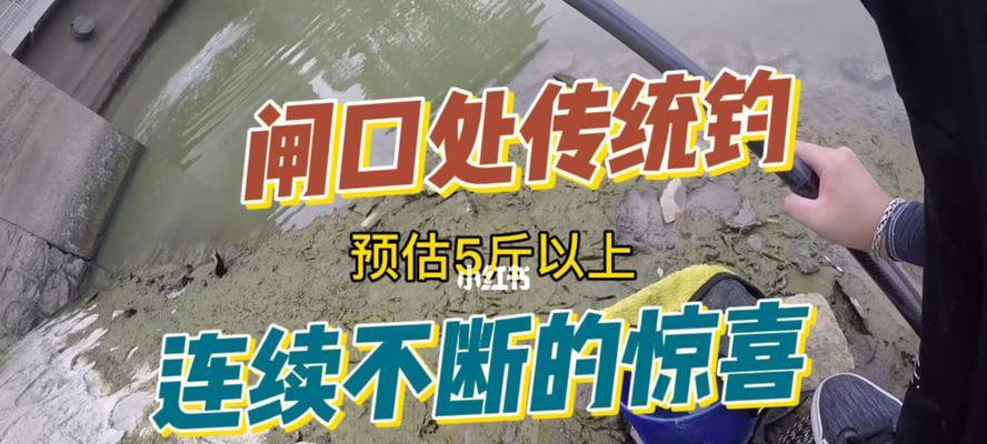 冲水处钓鱼的技巧与经验（掌握钓鱼技巧，让冲水处成为捕获鱼群的福地）