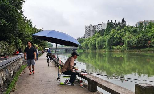 抽竿钓鱼技巧教学（掌握钓鱼技巧提升钓鱼成功率）