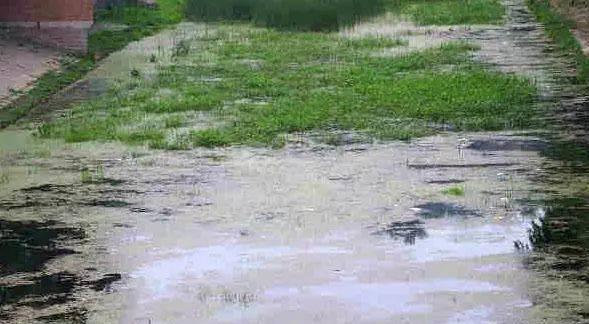 臭水沟钓鱼技巧（挑战与乐趣并存的城市垃圾区钓鱼体验）