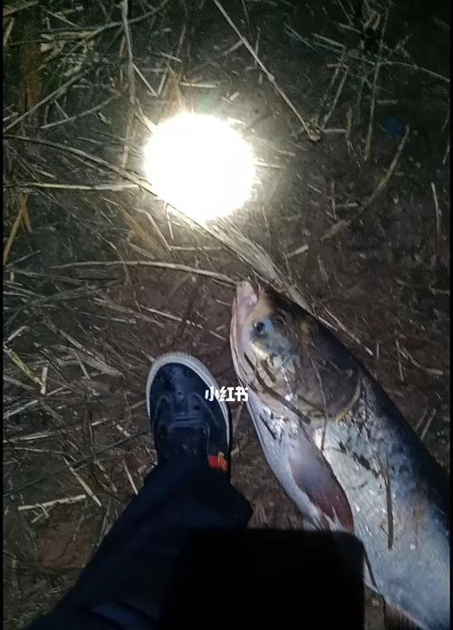 臭水河钓鱼技巧大揭秘（掌握正确技巧，让你的钓鱼之旅更加顺利）