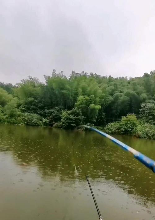 初春小雨钓鱼技巧（解密钓鱼的好时机-初春小雨）