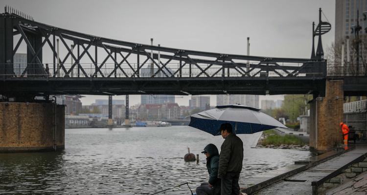 初春雨中钓鱼技巧（享受初春雨中的钓鱼乐趣）