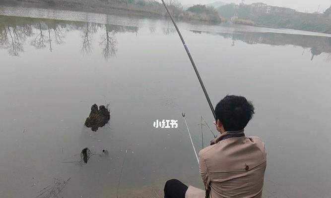 初冬阴雨绵绵下的钓鱼乐趣（掌握正确技巧轻松享受钓鱼之乐）