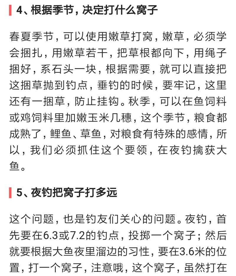 初秋钓鱼打窝技巧（掌握关键诀窍，享受丰收季节）