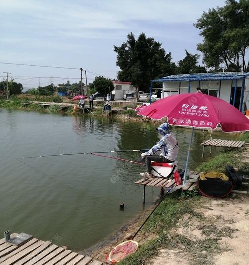 初秋海钓退水钓鱼技巧（海钓退水的必备技巧和注意事项）