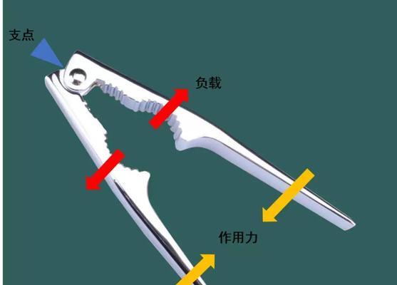 锤子钓鱼技巧教学（掌握锤子钓鱼技巧，轻松捕获大鱼）