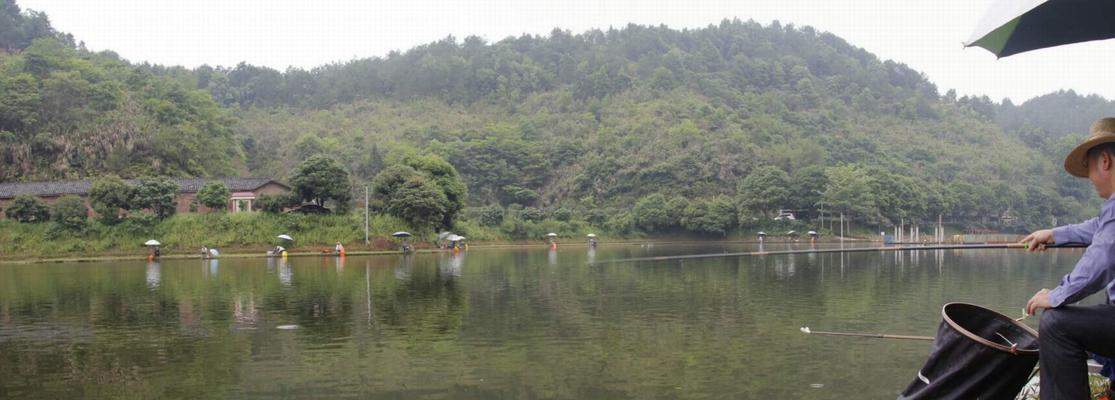 春季钓水库的高效技巧（钓鱼专家分享春季水库钓鱼经验）