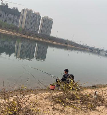 春季湖库台钓技巧（湖库台钓技巧分享，让你在春天的湖库中得心应手）