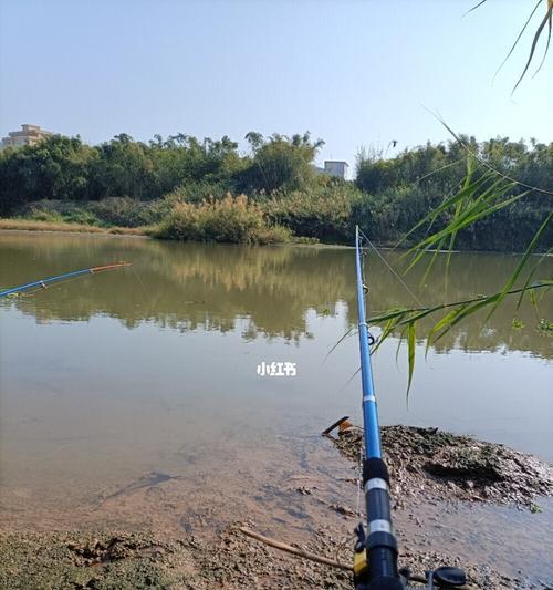 春季流水钓鱼技巧（春季流水钓鱼的技巧和注意事项）