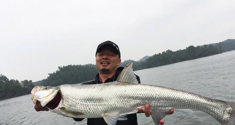 春季南方钓鱼选饵技巧（南方春季钓鱼攻略，技巧揭秘！）